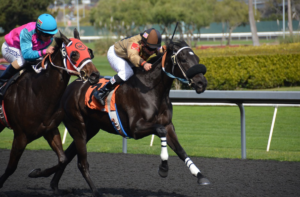 horse race betting